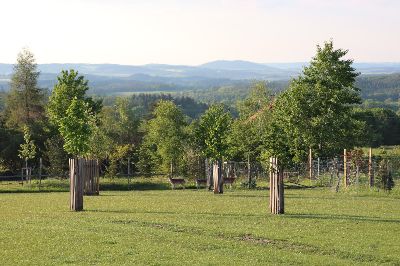 Zahrada / park / krajina