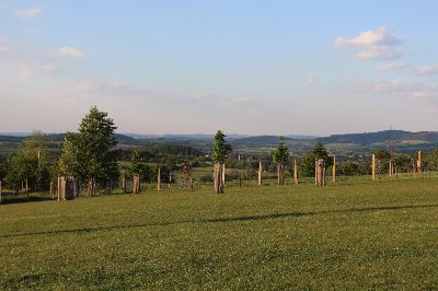 Zahrada / park / krajina